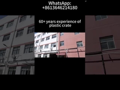 접는 플라스틱 상자 저장 저장 할 수 있는 물류 포장