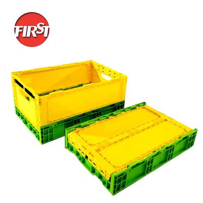주문 과일 식물성 찬 사슬 근수 508×338×100mm를 위한 Foldable 주문 플라스틱 상자 온라인 제조